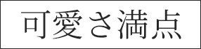 可愛さ満点